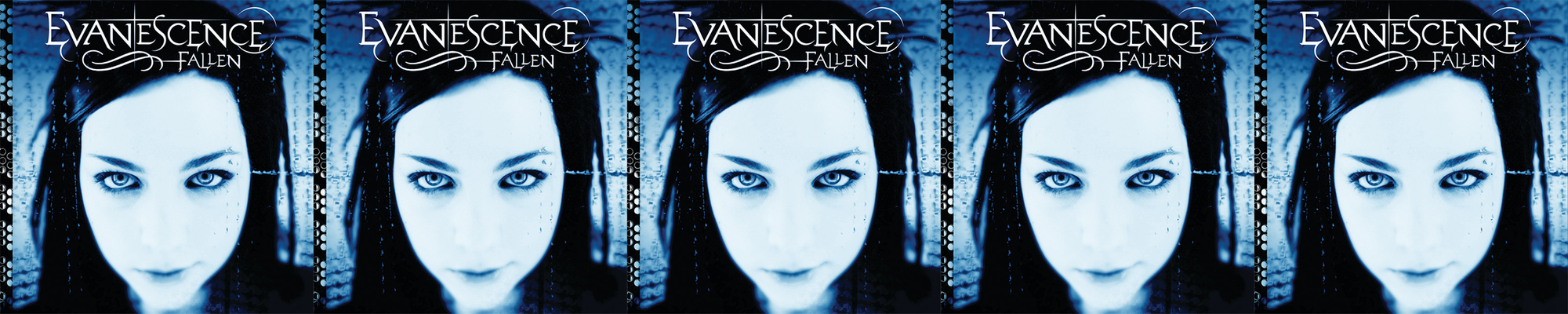EVANESCENCE - Fallen