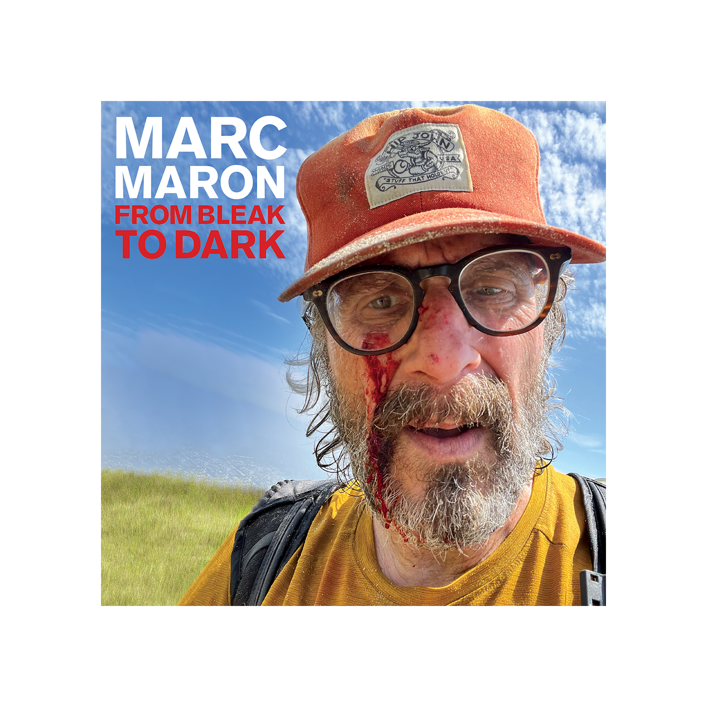 From Bleak To Dark Digital Album