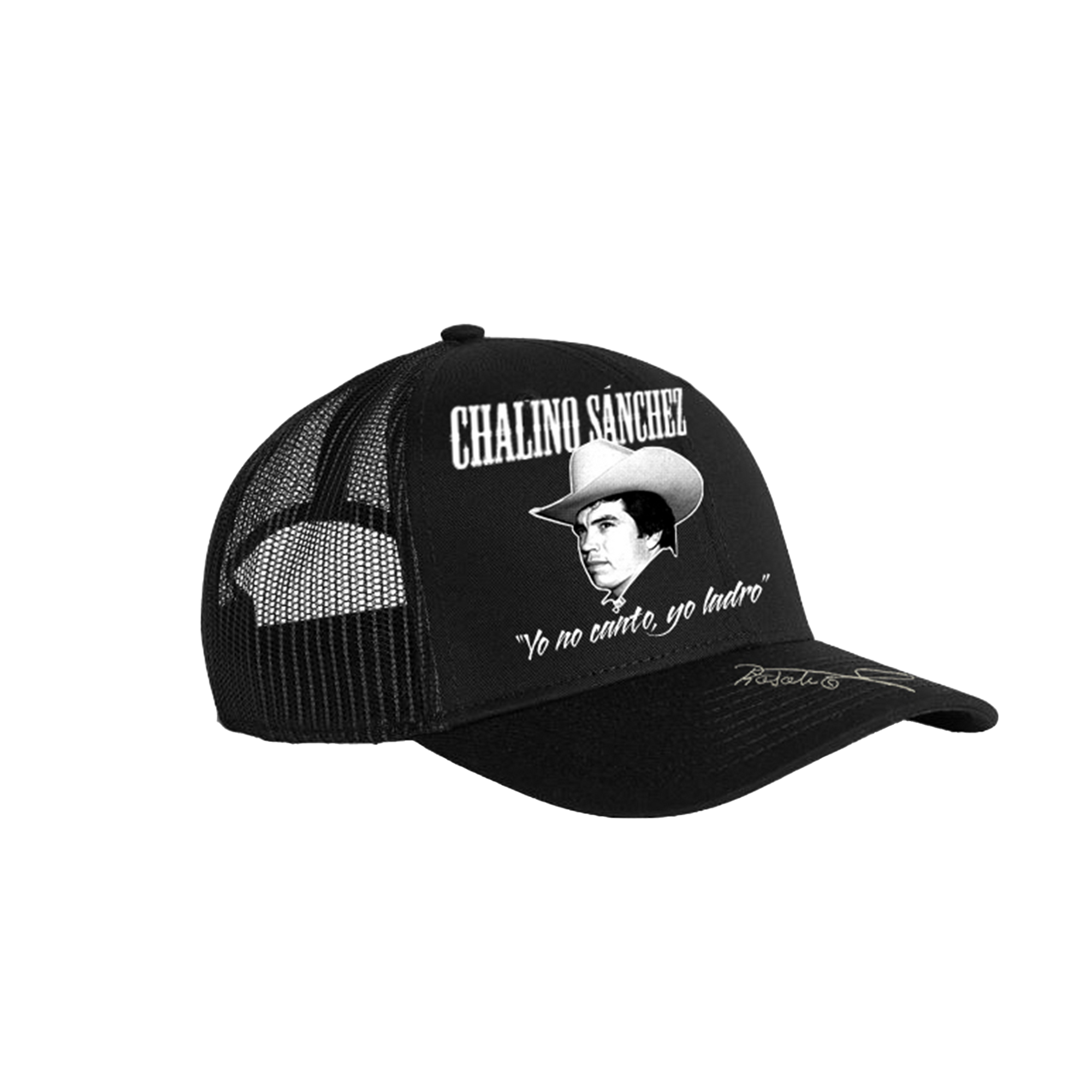 Gorra (Mercancía Oficial)