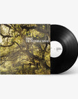 The Invisible Band (LP)