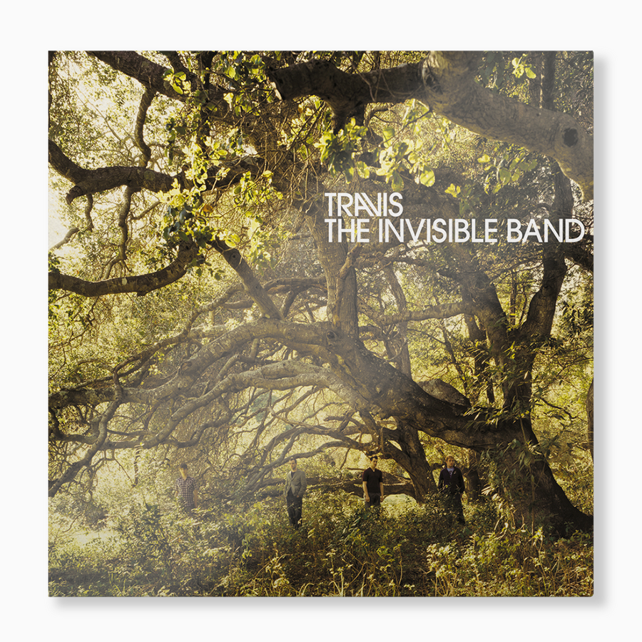 The Invisible Band (LP)
