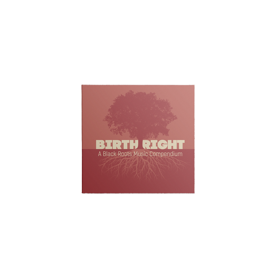 Birthright: A Black Roots Music Compendium (2-CD)