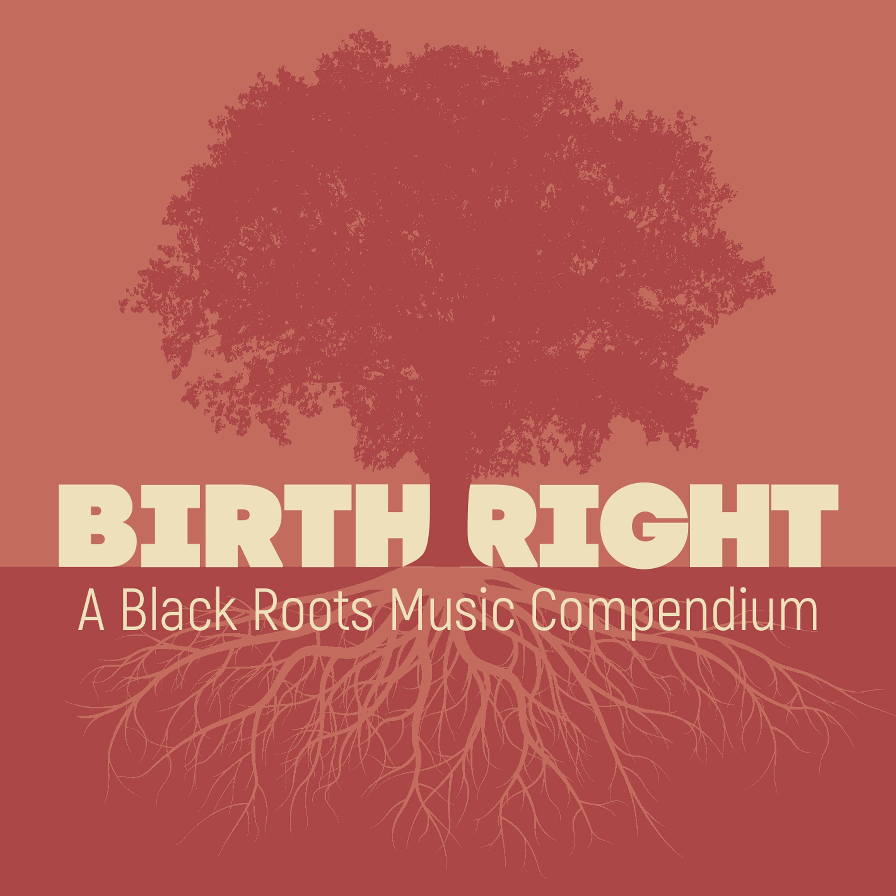 ANNOUNCING BIRTHRIGHT: A BLACK ROOTS MUSIC COMPENDIUM – Craft Recordings