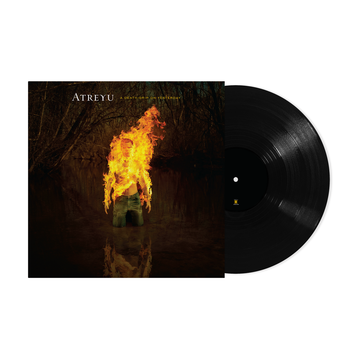 A Death-Grip on Yesterday (LP) – view 1 of 3