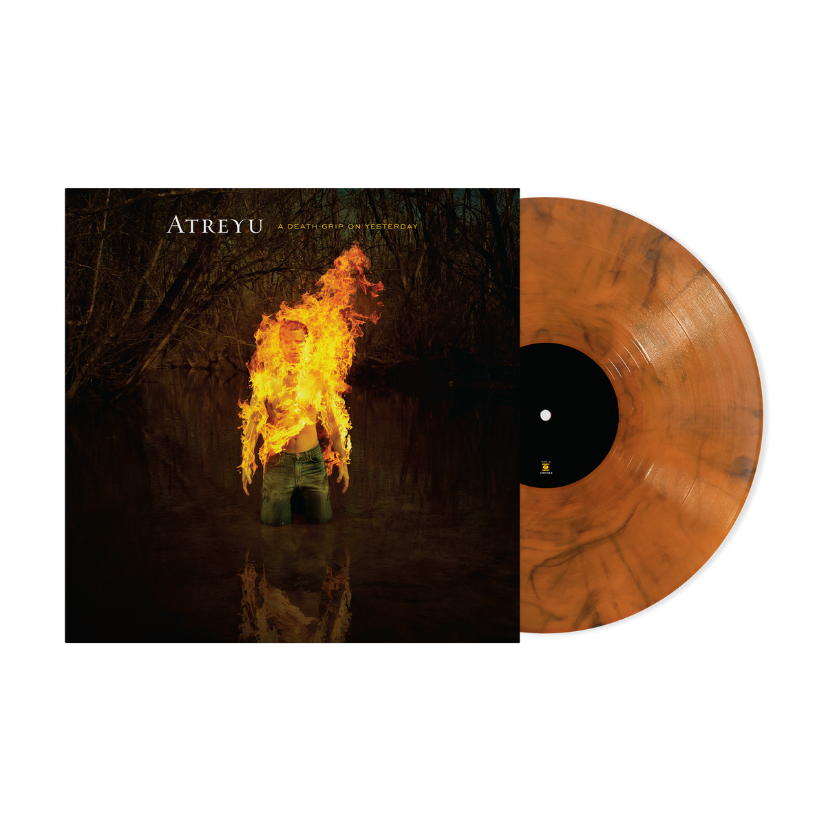 A Death-Grip on Yesterday (Fire Smoke LP) – view 1 of 3