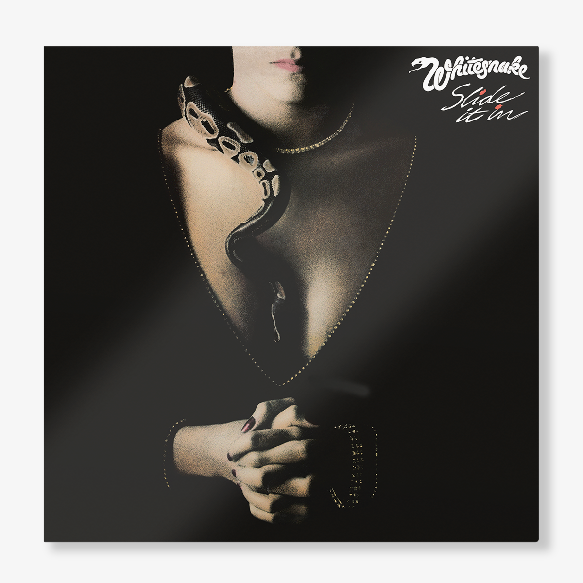 Slide It in (Exclusive - Onyx LP) – view 2 of 3