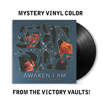 The Beauty In Tragedy (Mystery Vinyl LP)