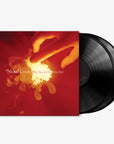 Why Should the Fire Die? (180g 2-LP)